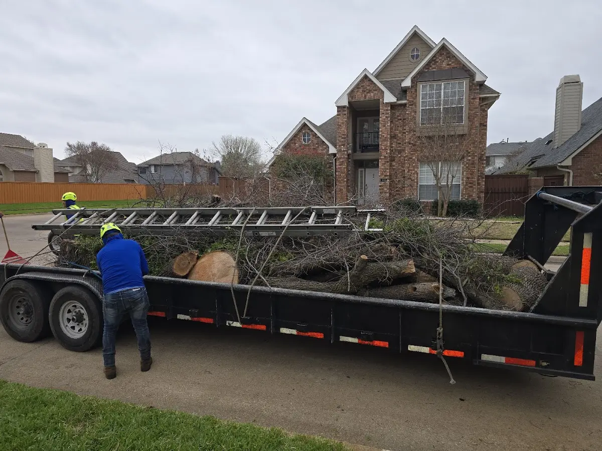 Expert Tree Fertilization with proper safety equipment in Rye